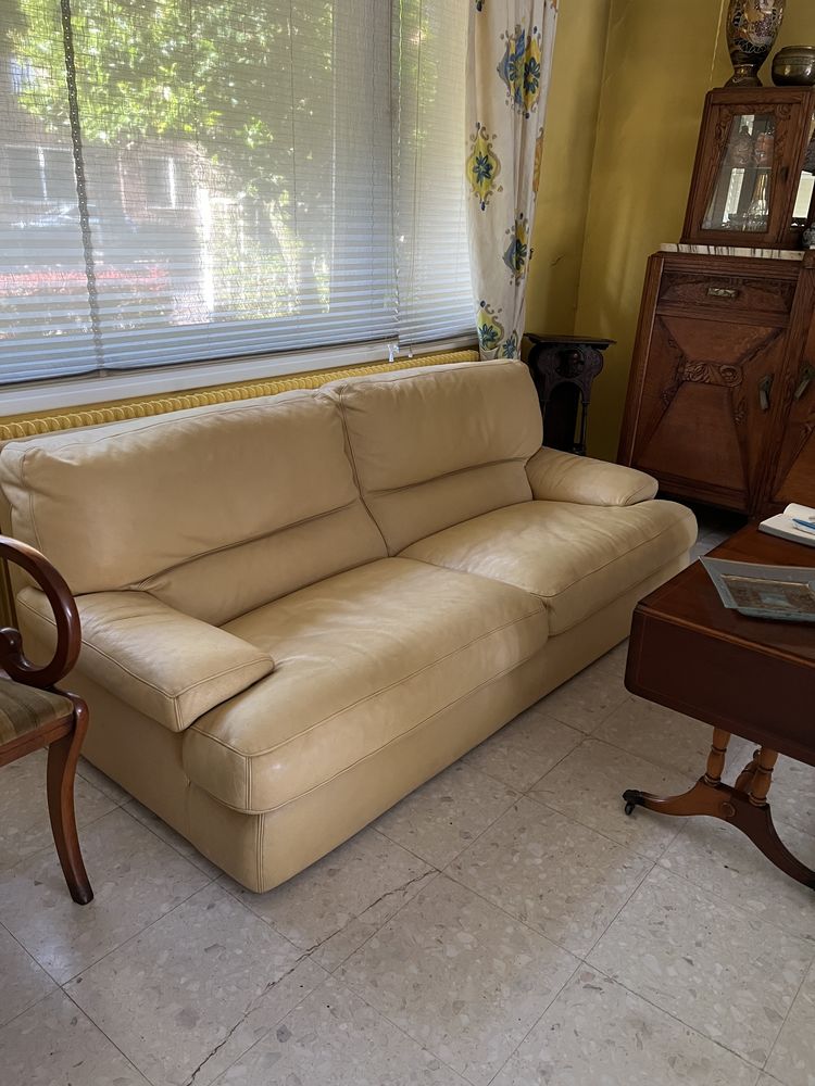 Canap� cuir 50 Lens (62)