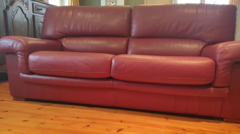 Canap� en cuir 300 Aurillac (15)