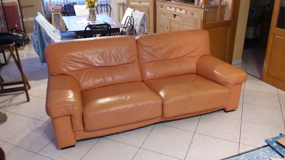 Canap� cuir 0 Amilly (45)