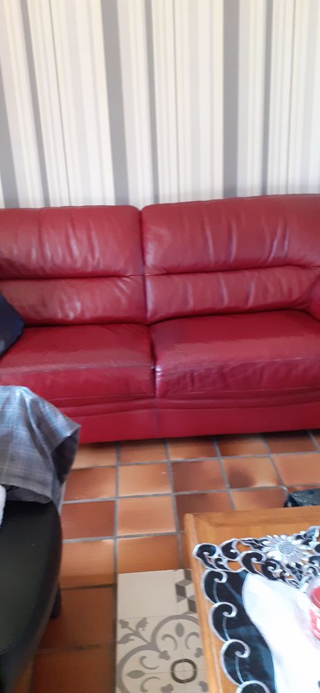 canape cuir 75 Le Vieil-Baug� (49)