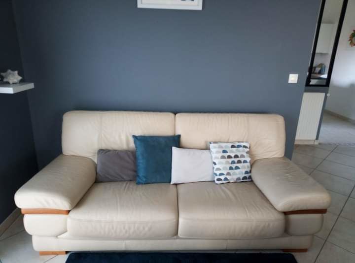 canap� cuir 350 Lacanau (33)