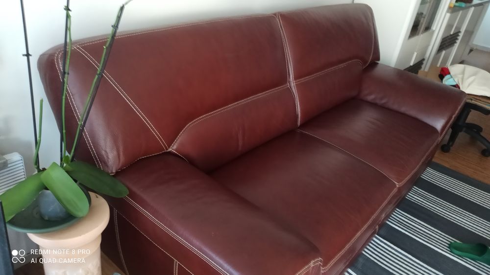 canap� cuir 600 Saint-Vincent-de-Paul (40)