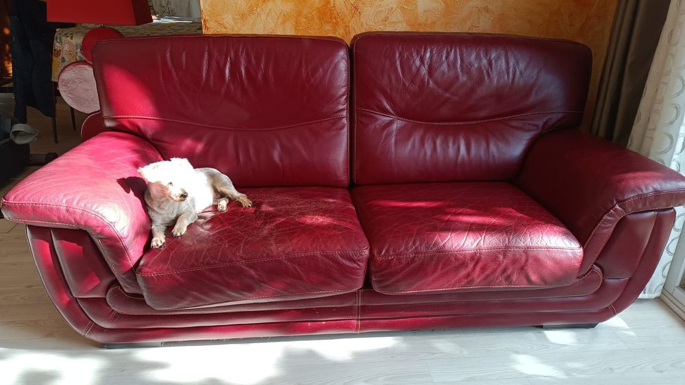 canap� cuir 0 Hy�res (83)