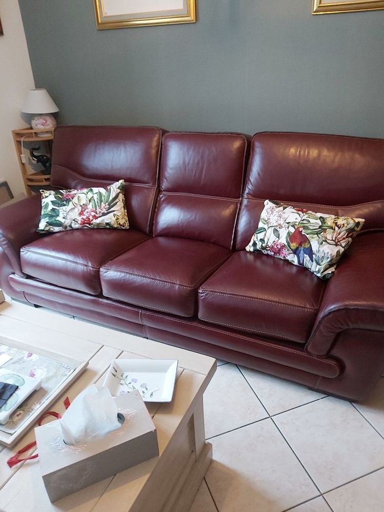 Canap� cuir 450 Bourneville (27)