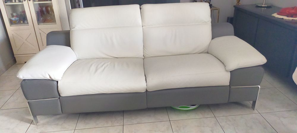 Canap� cuir 269 Lauzerville (31)