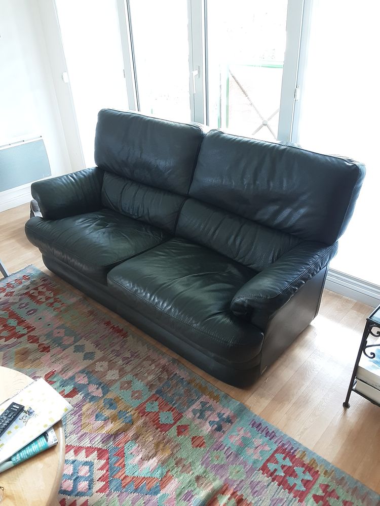 Canap� cuir 90 Wattignies (59)