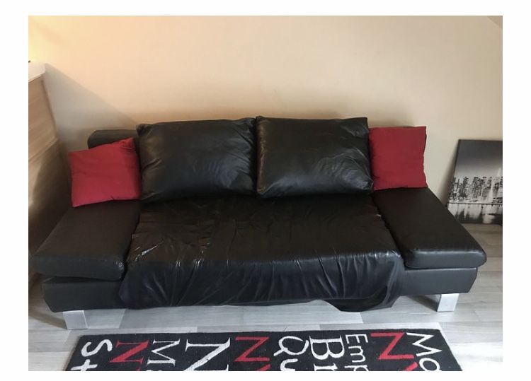 Canap�-lit en cuir 220 Vierzon (18)