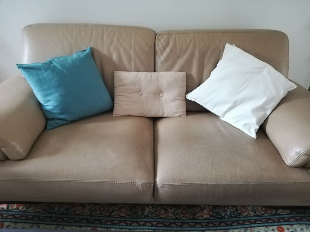 canap� en cuir 500 Ramonville-Saint-Agne (31)