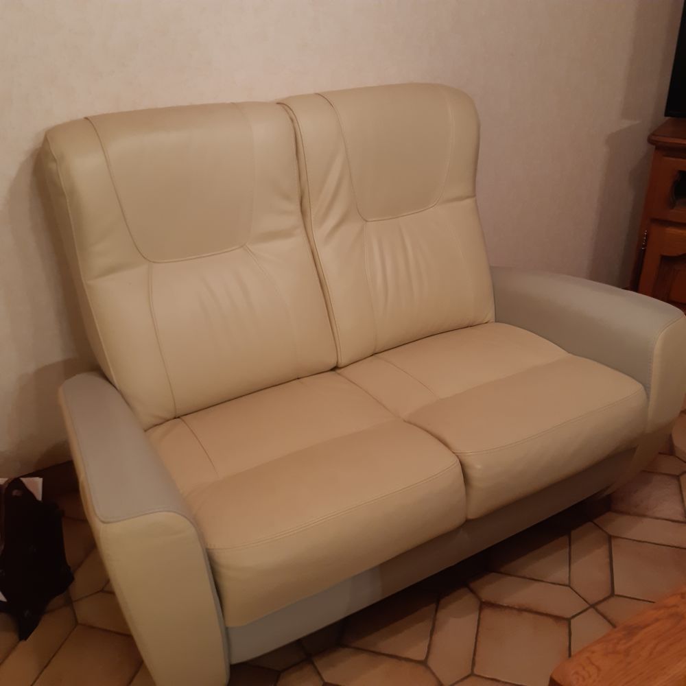 Canap� cuir 80 Bouy (51)