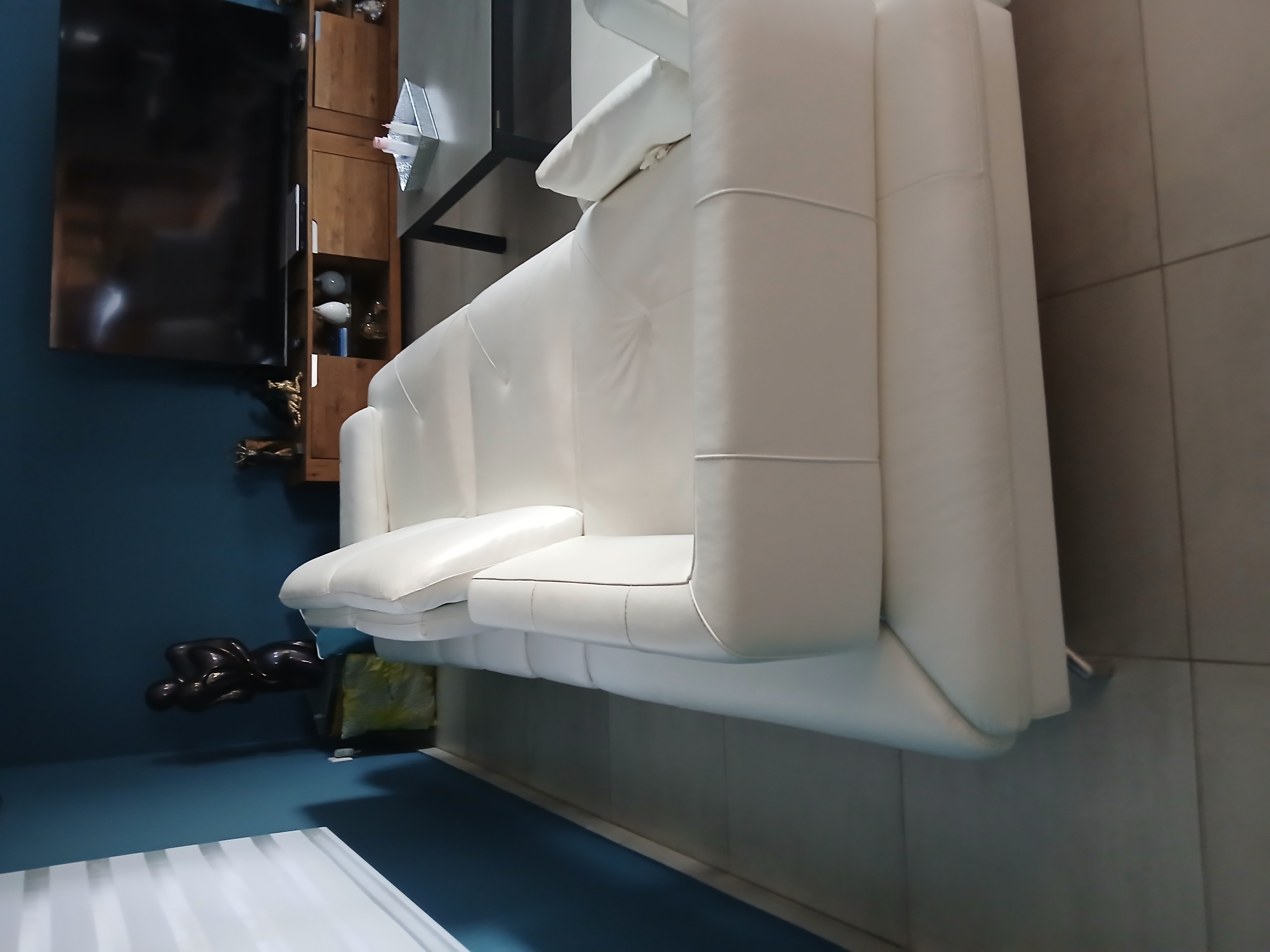 Canape cuir 2500 Nimes (30)