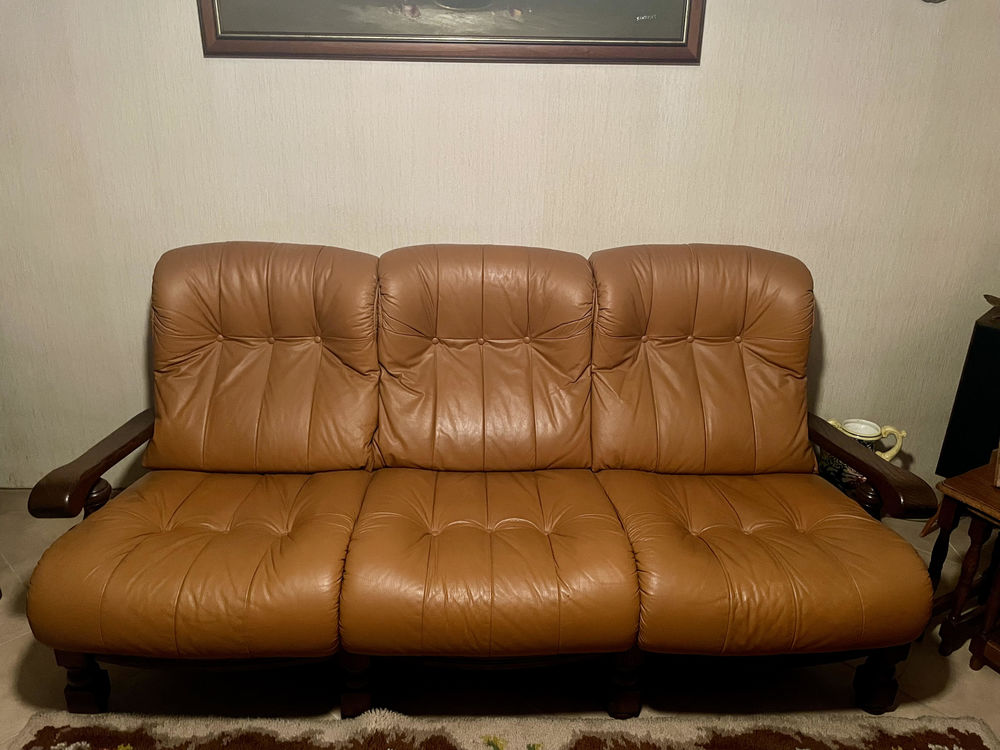 Canap� cuir 100 Lutterbach (68)