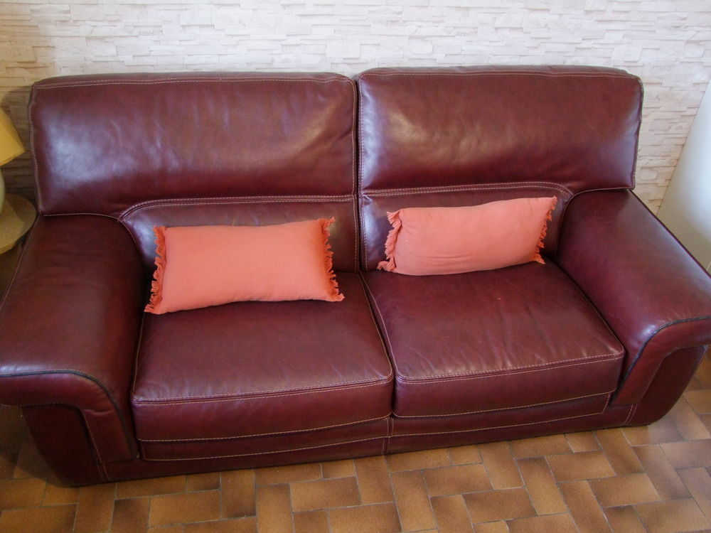 Canap� cuir 535 Eyjeaux (87)