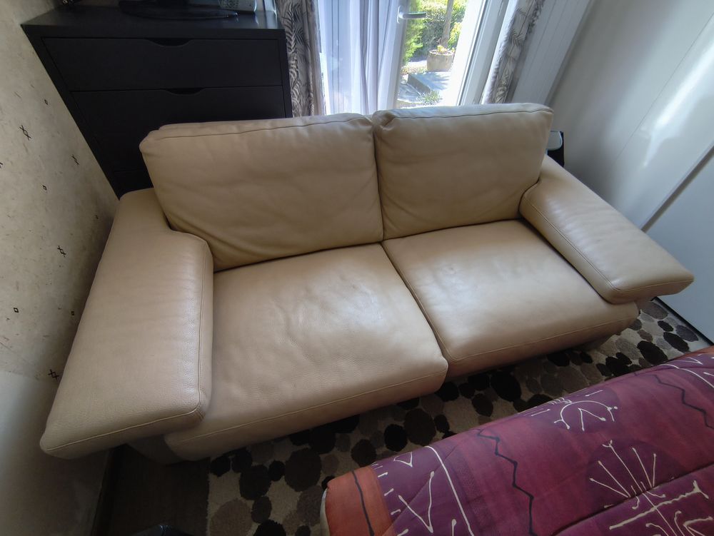 canap� cuir 220 Vannes (56)