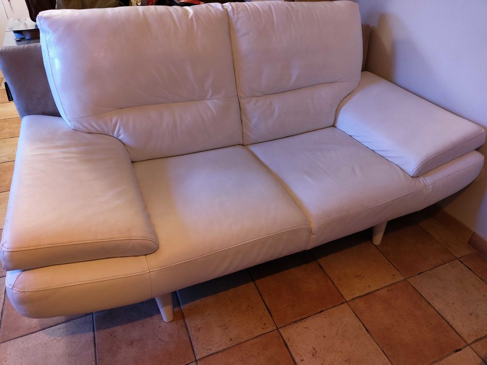 canap� cuir 120 Jou�-l�s-Tours (37)