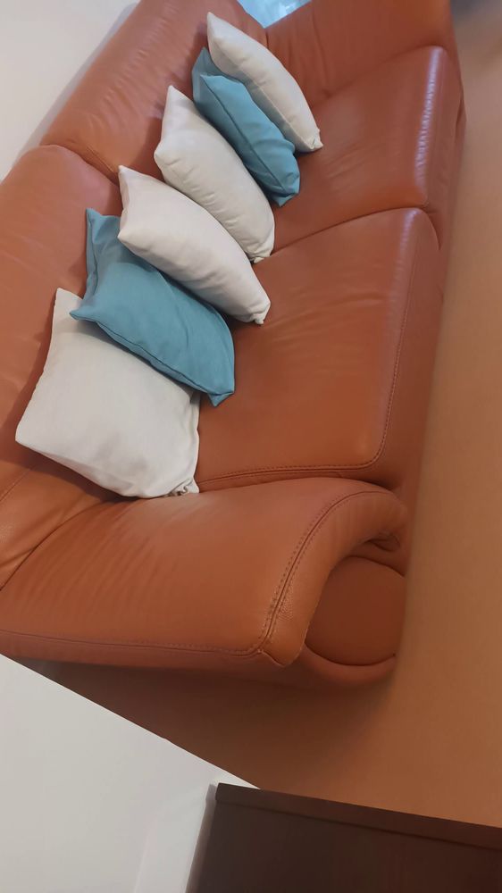 canap� en cuir 300 Valenciennes (59)