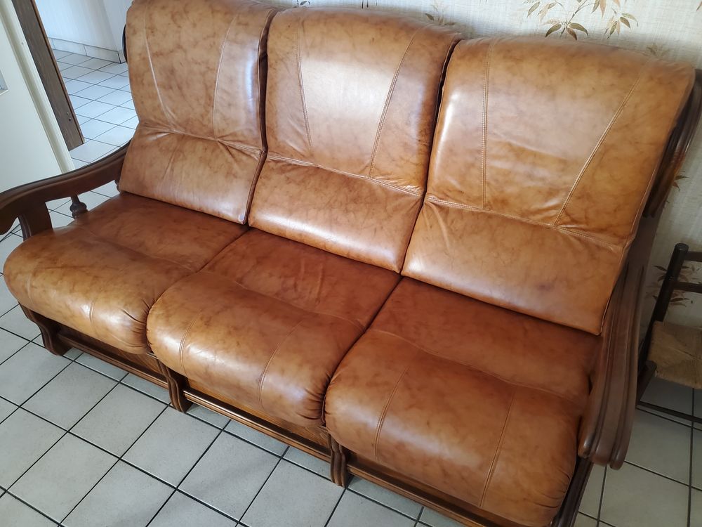 Canap� en cuir 0 Dijon (21)