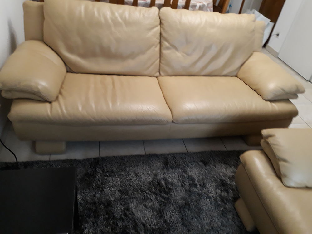 canap� cuire 0 Th�nes (74)