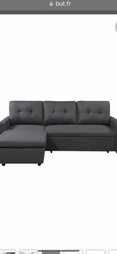 Canape dangle avec lit integre et m�ridienne avec coffre 300 Saint-Martin-de-Crau (13)