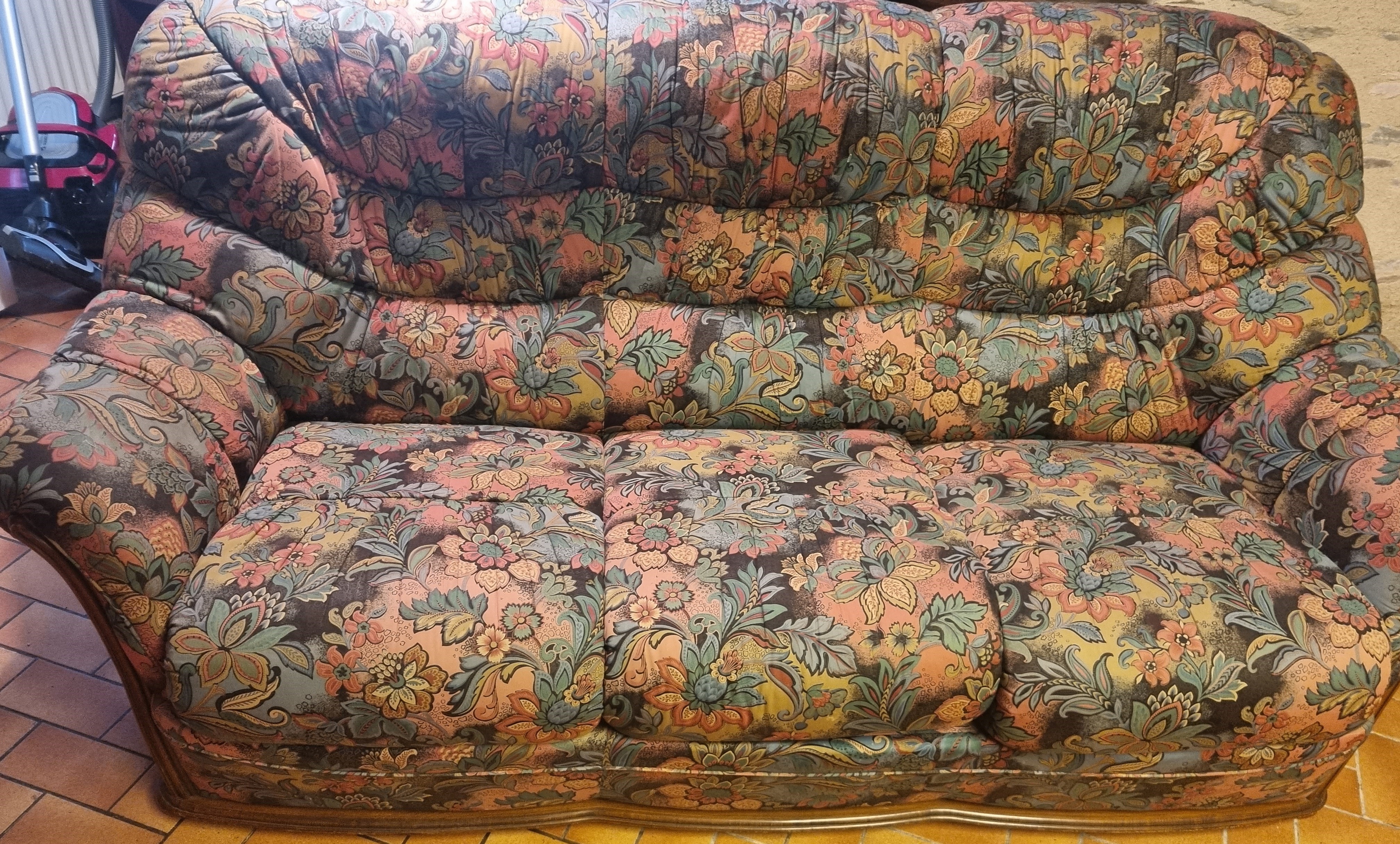 canap� et deux fauteuils 150 Les Brouzils (85)