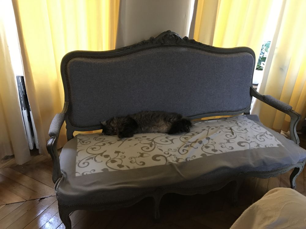 canap� et deux fauteuils de style Louis XV 350 Saumur (49)