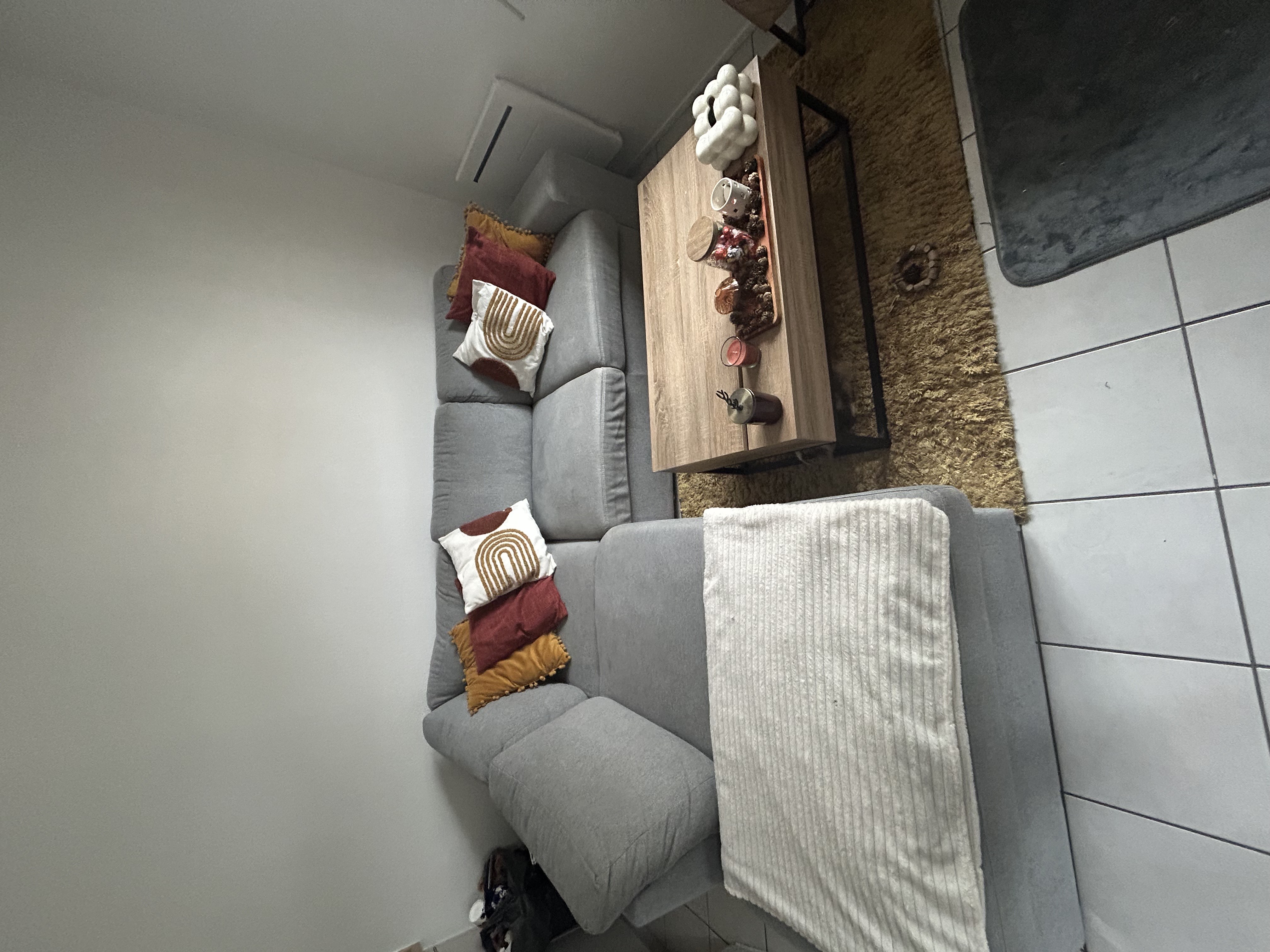 Canap� lit en bon �tat 250 Annecy (74)