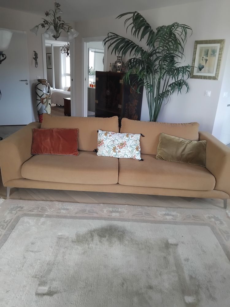 CANAP� FARGO BO CONCEPT 490 Soorts-Hossegor (40)