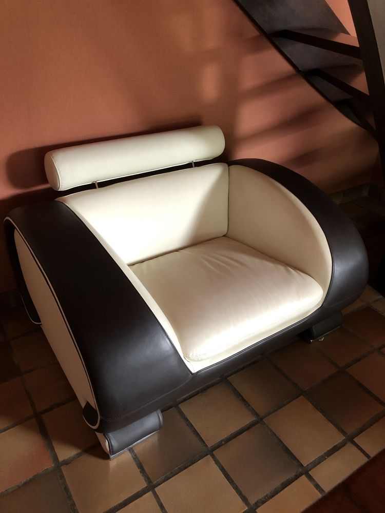 Canap� et fauteuil cuir 250 Suc�-sur-Erdre (44)