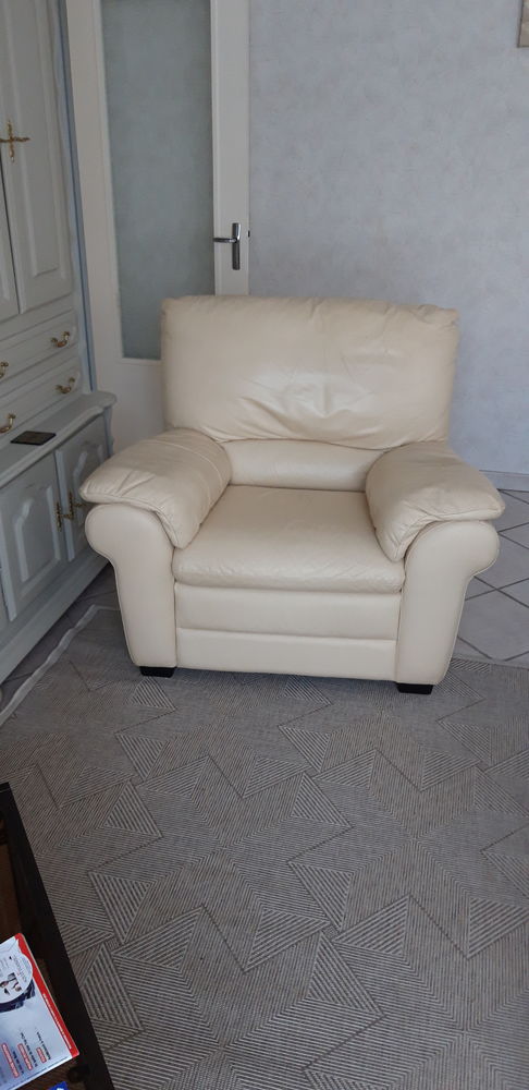 canap� fauteuil cuir 250 L�ognan (33)