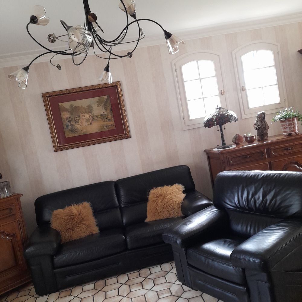 CANAP� + 1  FAUTEUIL CUIR ( ROCHE et BOBOIS ) 600 M�reau (18)