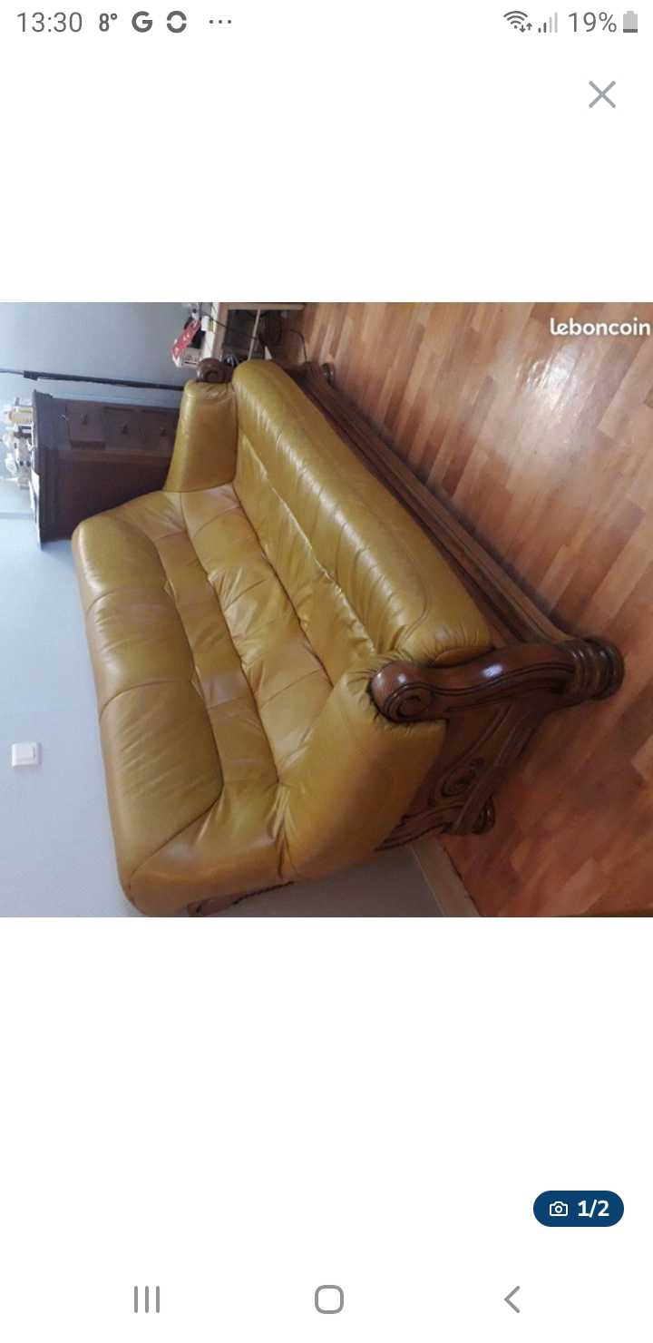 canap� et fauteuil cuir 160 Villeurbanne (69)