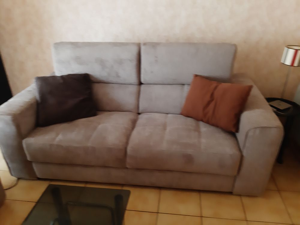 canap� et fauteuil electrique 800 Elne (66)