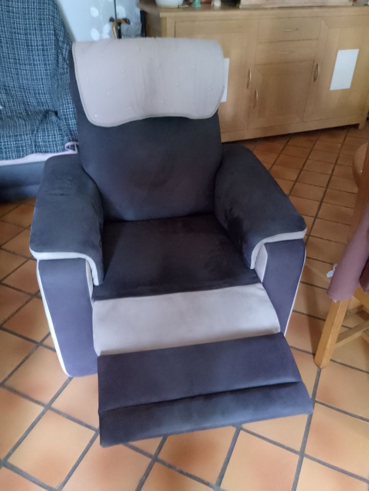 Canap� et fauteuils 450 Domagn� (35)