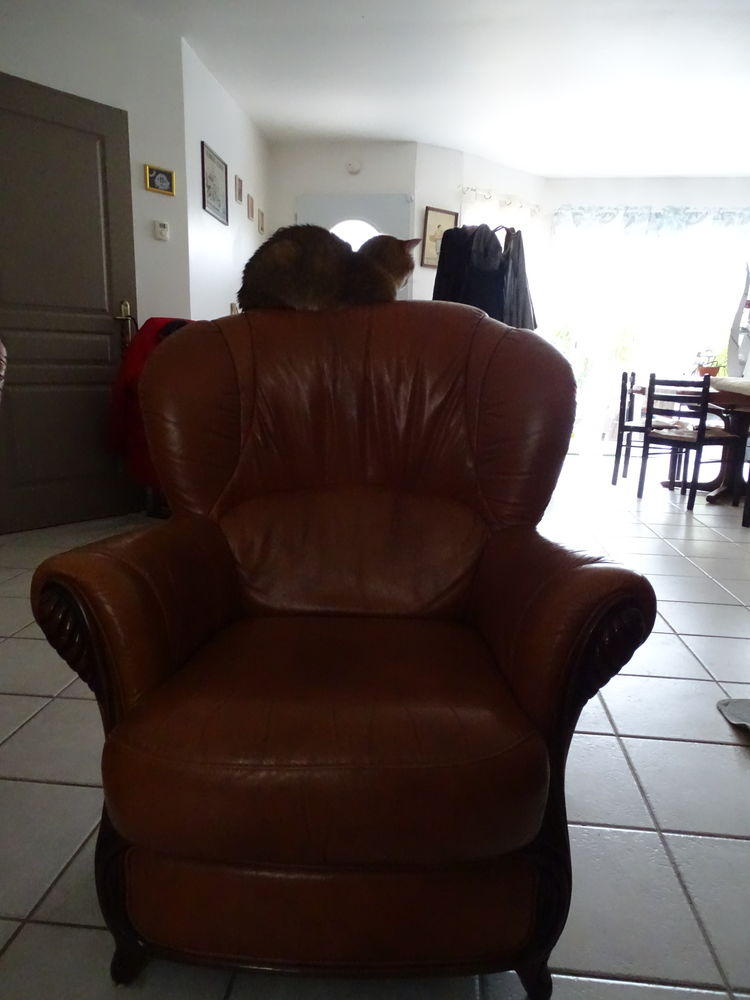 canap� et 2 fauteuils 300 Ucel (07)