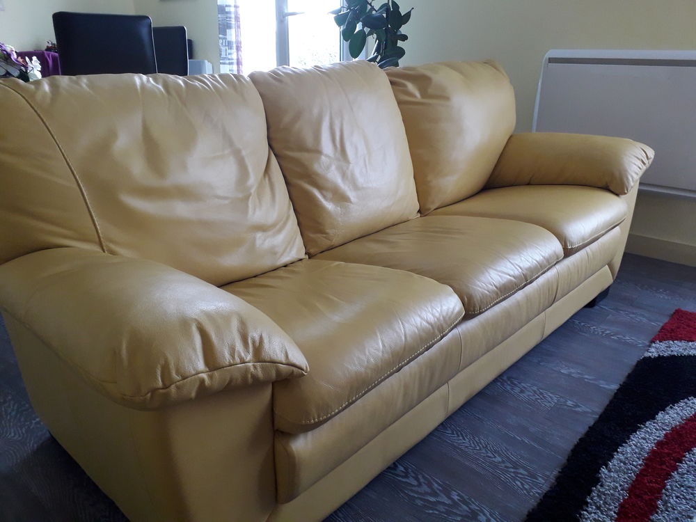 Canap� et feux fauteuils 100 Lanmeur (29)