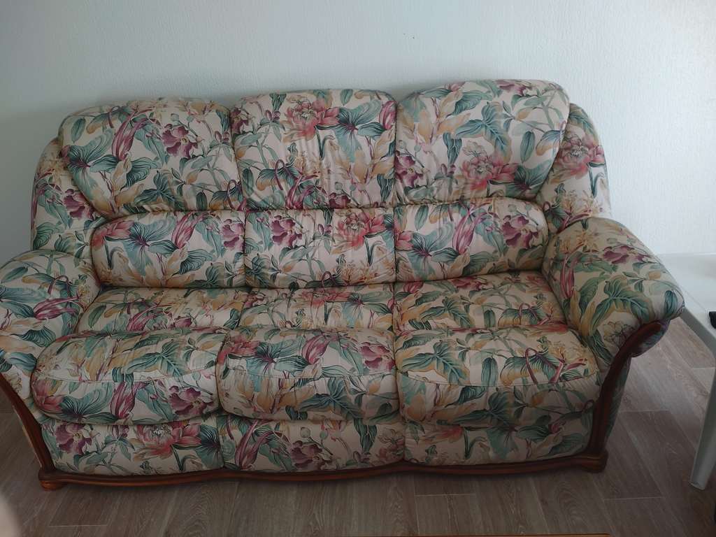 Canap� Floral Confortable 100 Villemur-sur-Tarn (31)