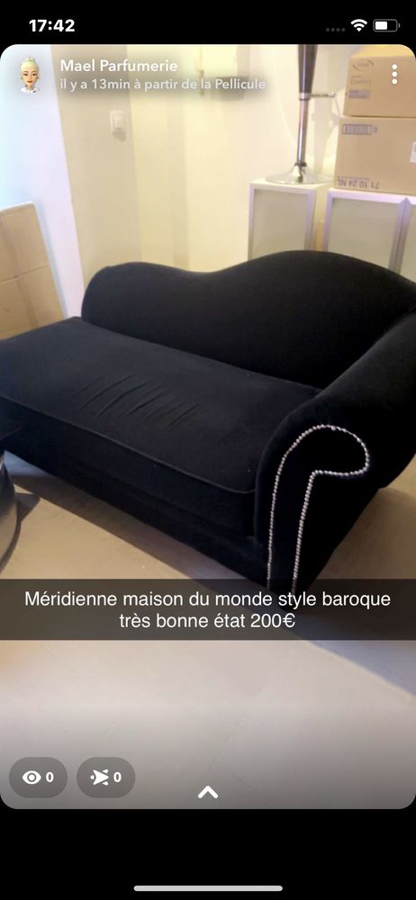 canap� et m�ridienne en excellent �tat 500 Lyon 9 (69)