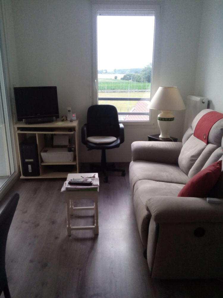 CANAPE 2 PLACES ELECTRIQUE 60 Lys-lez-Lannoy (59)