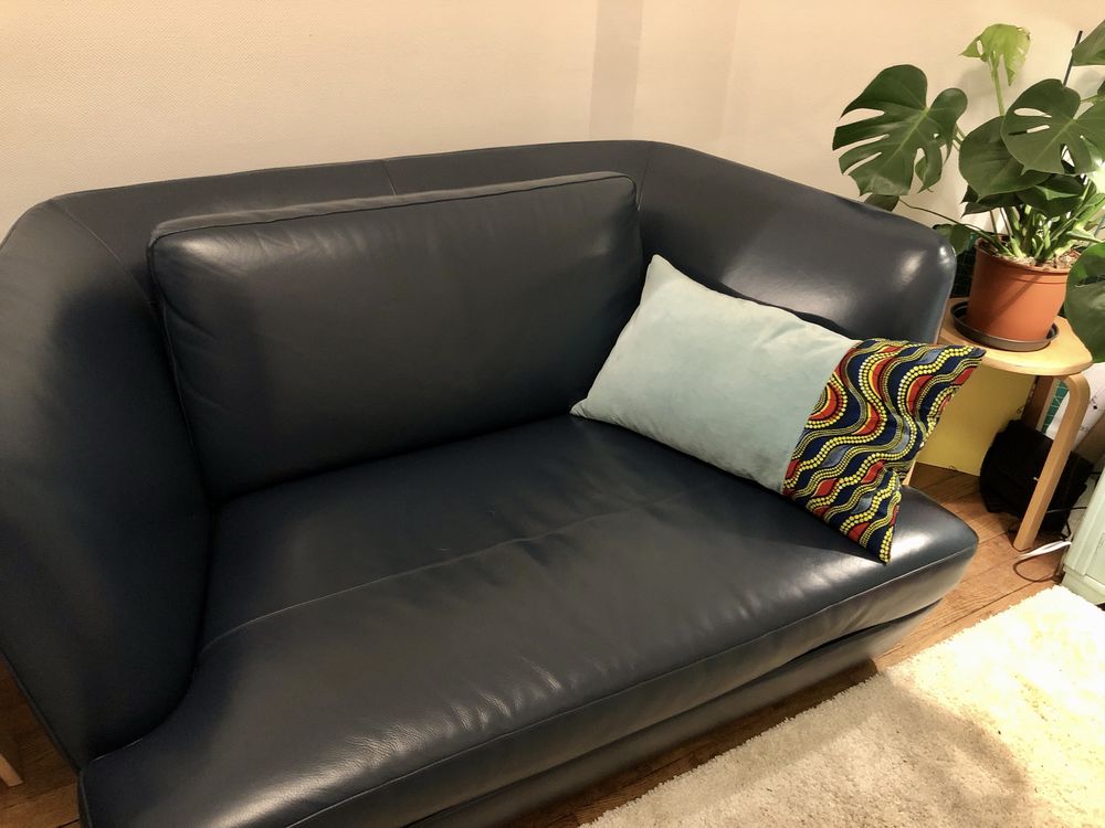 Canap� 2 places Roche Bobois. 800 Dijon (21)