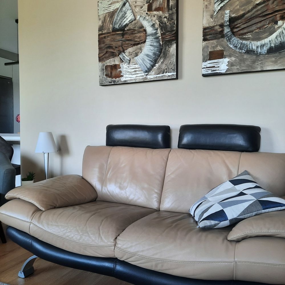 canap� 2 places tout cuir 500 Thun-Saint-Amand (59)