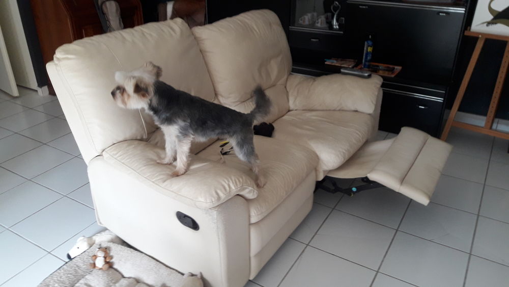 Canap� 2 places 20 L�guevin (31)