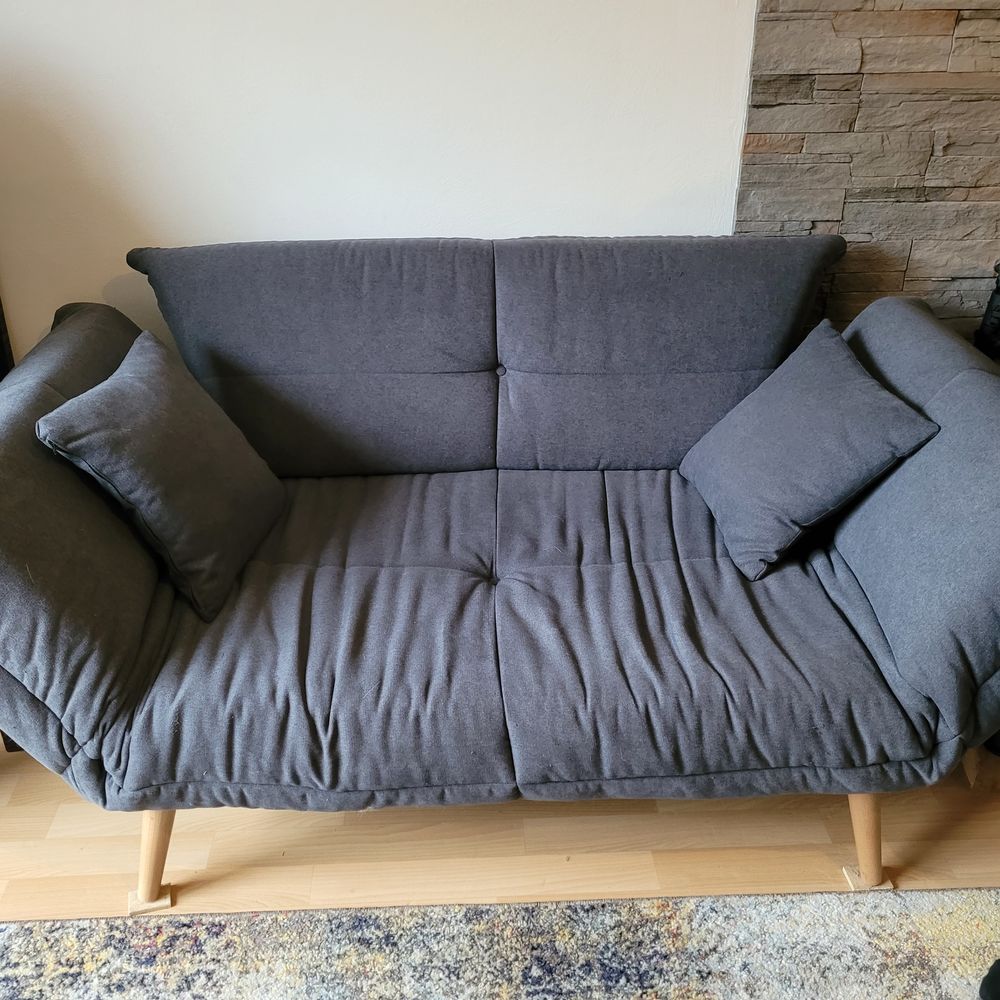 Canap� 2 places 300 La Chapelle-sur-Erdre (44)