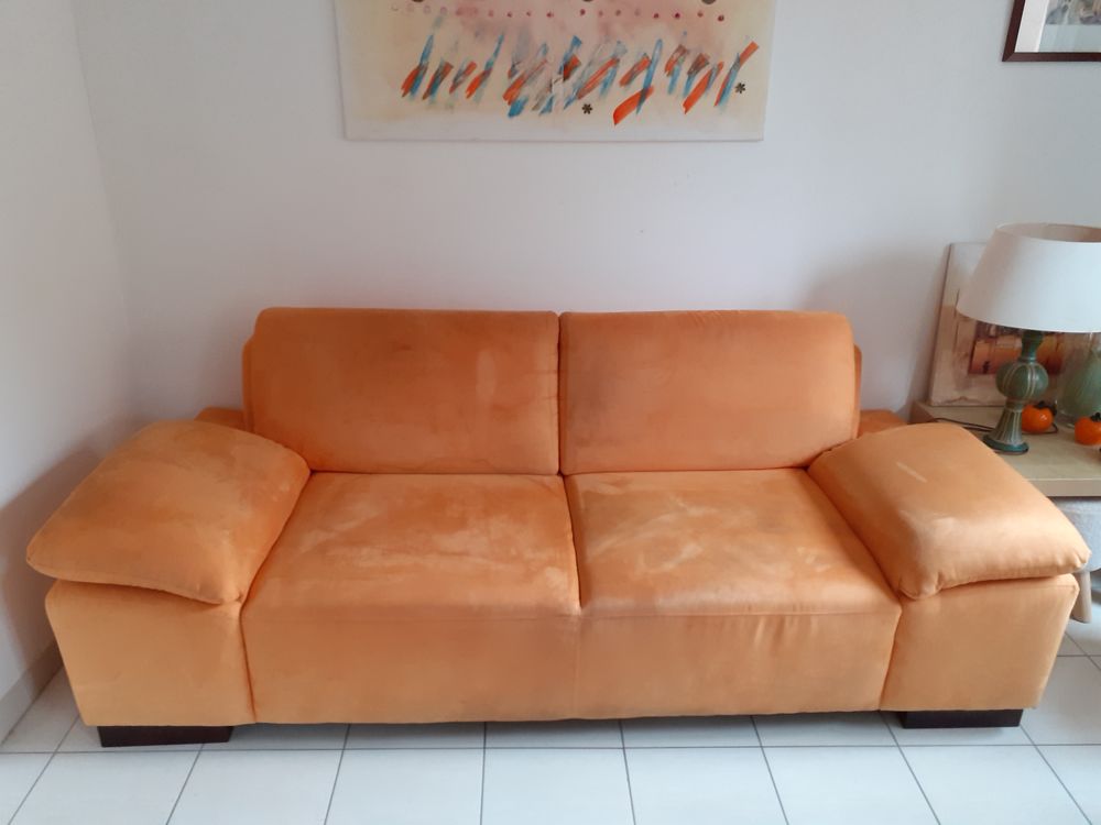 CANAPE 2 PLACES 50 Dorlisheim (67)