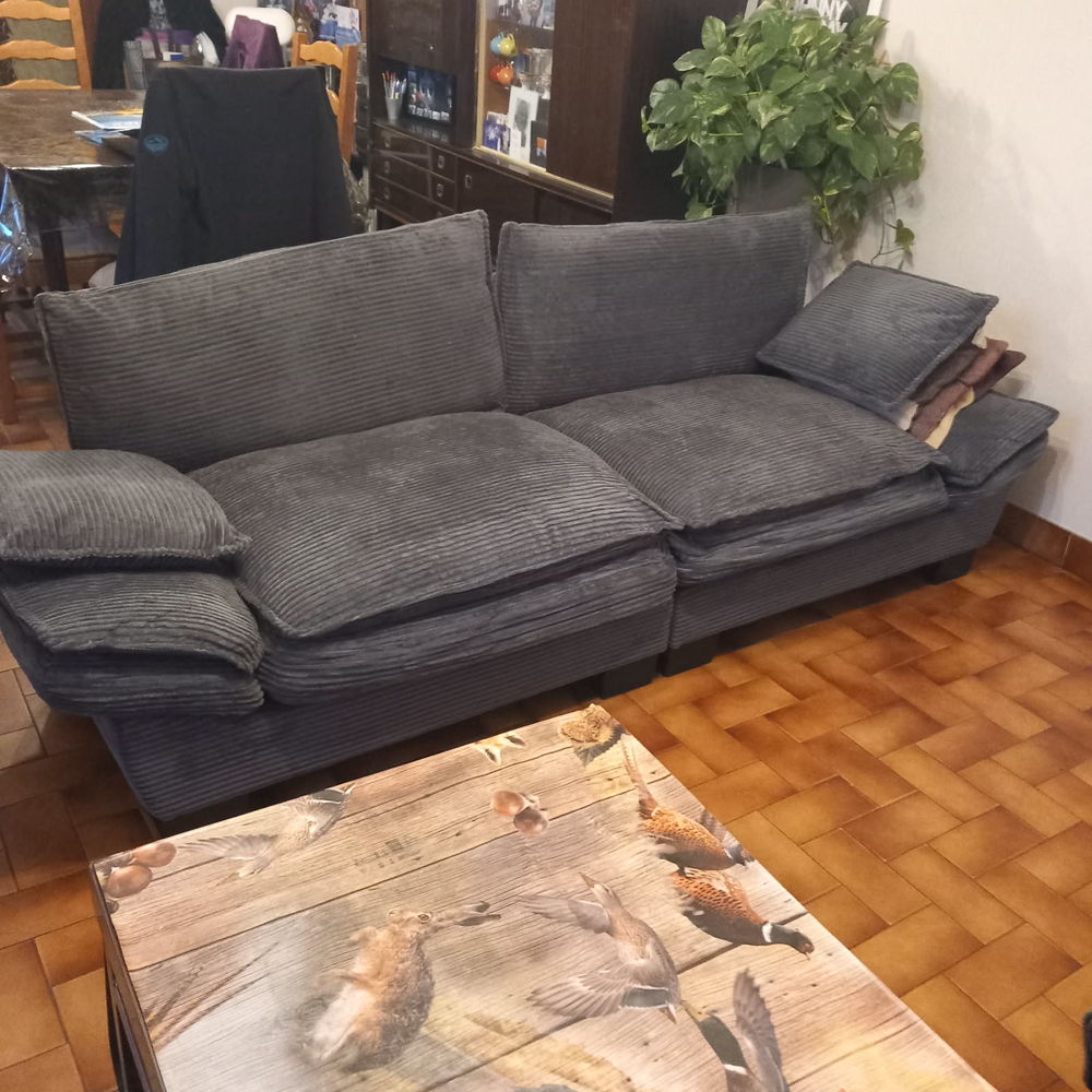 Canap� 3 places 290 Saint-Andr�-le-Gaz (38)