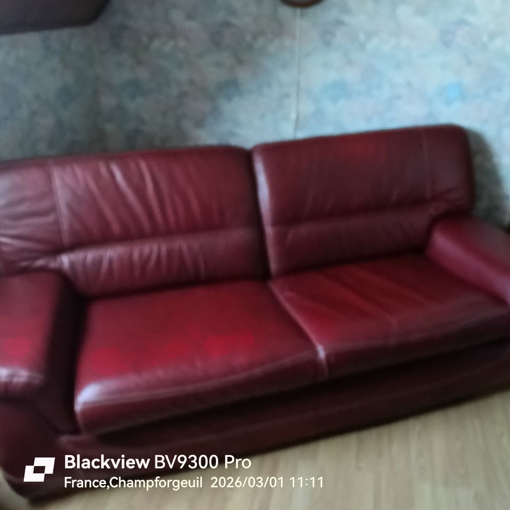 canape 3 places 250 Champforgeuil (71)