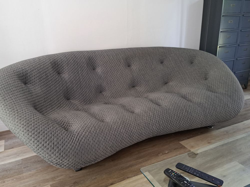 CANAPE PLOUM  LIGNE ROSET 1800 Fleury-les-Aubrais (45)