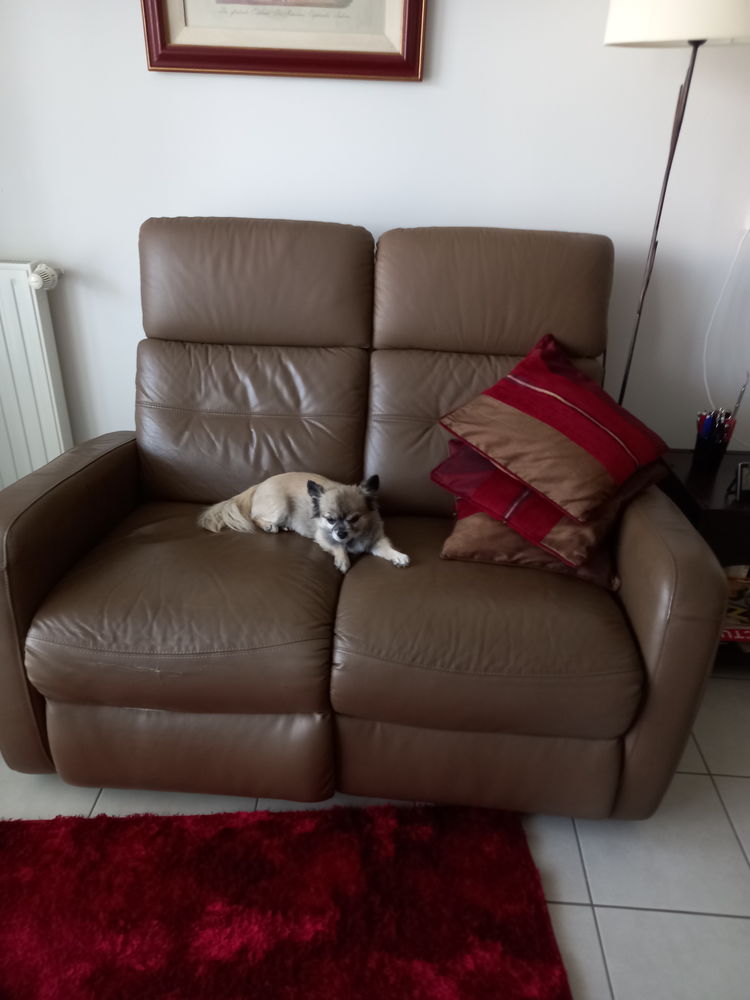 Canap� relax 2 places 80 Saint-S�bastien-sur-Loire (44)