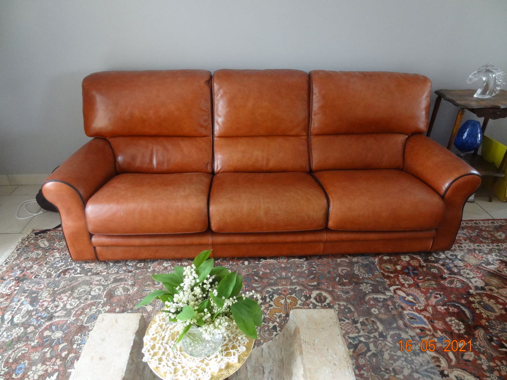 Canape Roche Bobois 100 Lay-Saint-Christophe (54)