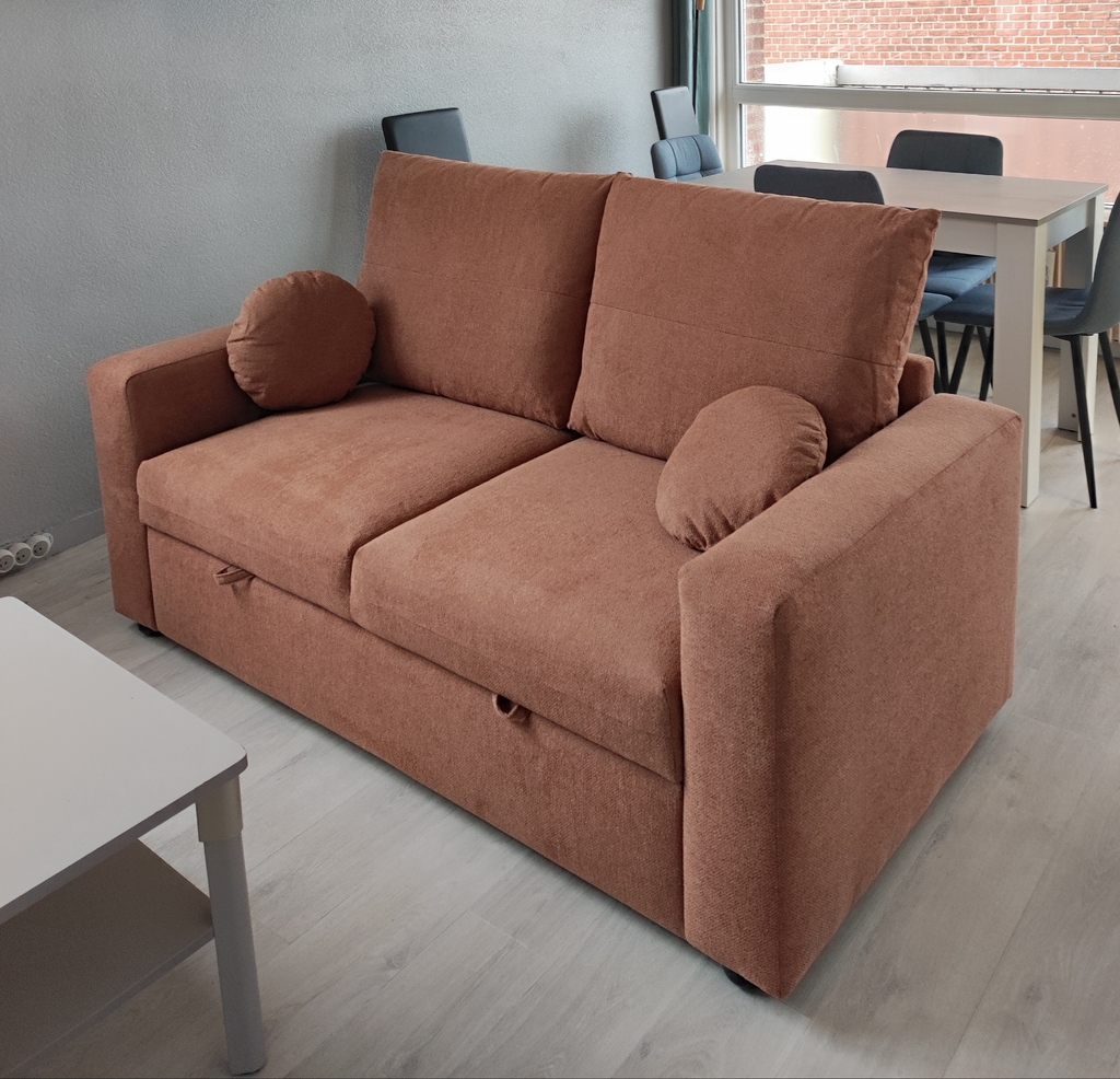 Canap� tissu Terracotta deux places 395 Lille (59)