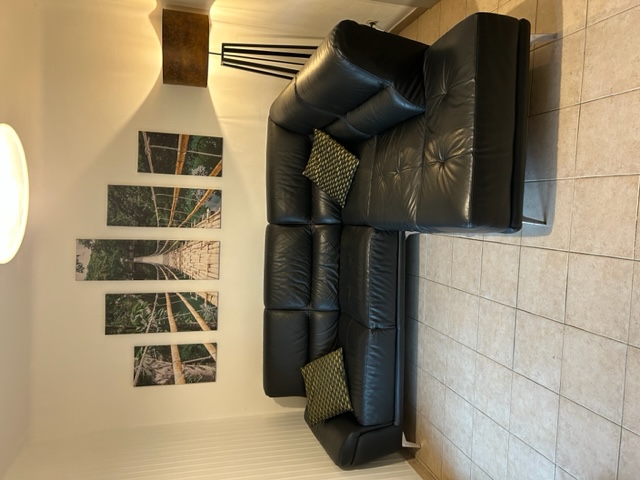 Canap� type cuir noir en TB�tat 890 Annecy (74)