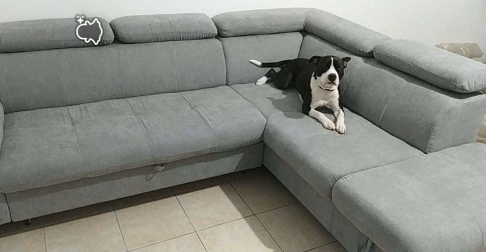 canap� �  vendre 550 Gagnac-sur-Garonne (31)